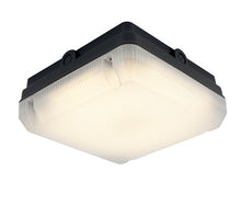 14 Watt 1,232lm LED Square IP65 Surface Bulkhead - Steel City Lighting