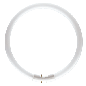 Replacement Lamps - 22 Watt 2GX13 T5 Circular Fluorescent Tube